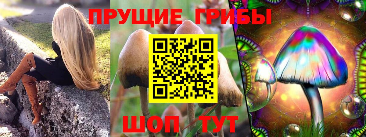 Галлюциногенные грибы Magic Shrooms Будённовск