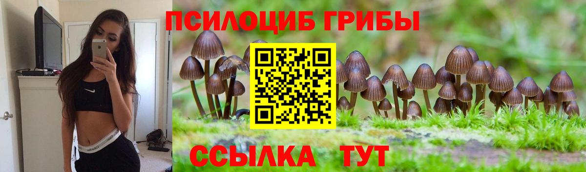 Будённовск  Псилоцибиновые грибы Cubensis  Галлюциногенные грибы прущие грибы  Вход с VPN 